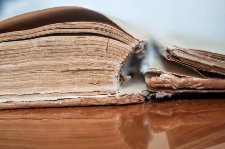 cara mengawetkan buku agar tidak dimakan rayap larusa