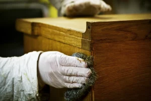 cara mengawetkan kayu tidak dimakan rayap larusa